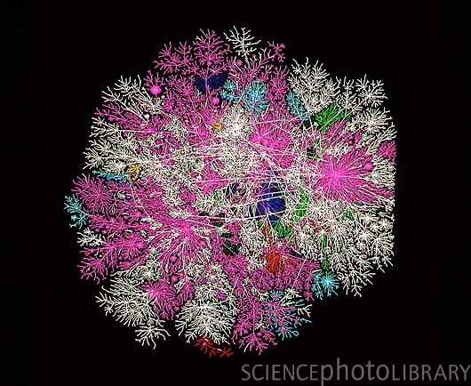 A nice Internet traffic visualisation from the Science Photo Library.